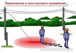 images_(1).jpg
